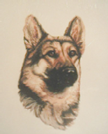 wpdbc86131.png