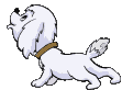 anim425.gif