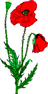 coquelicot002.gif